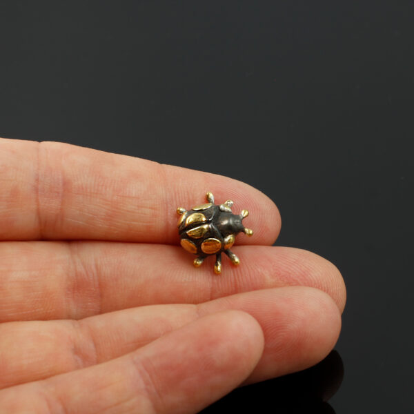 Kleiner Käfer mit Punkten auf einer Hand