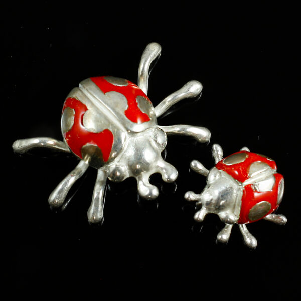 Marienkäfer