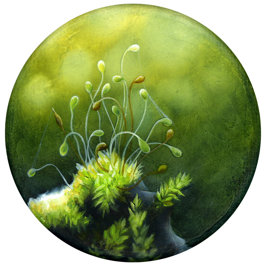 Annette von der Bey, 234, 2025, 10 cm, Öl auf Leinen