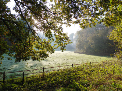 Niersgrünzug Niersgrünzug