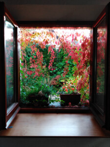 Tackhütte Tackhütte